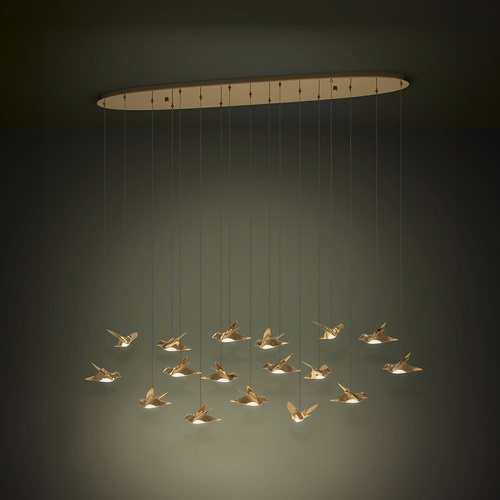 PARATEBUENO H/L 17X3W LED 3000K BRS OBLONG 