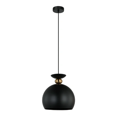PENDANT ES Iron Matt BLK Wine Glass w/ Brass Highlight OD250mm