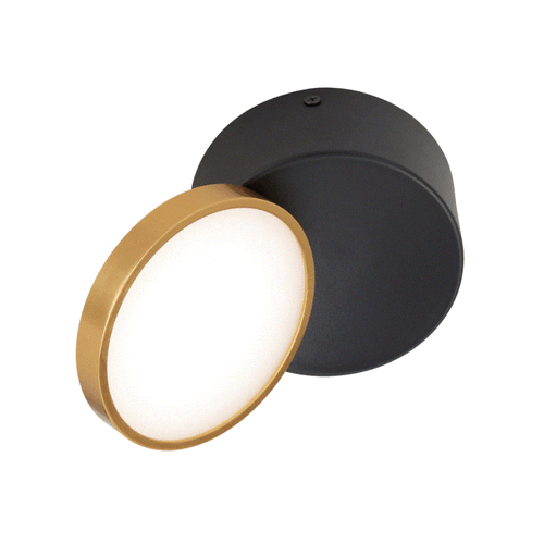 NETRA TILT SURFACE DOWNLIGHT 15watt LED D:120 H:55 1200Lm (3000k-5000k) 3CCT BLACK/GOLD