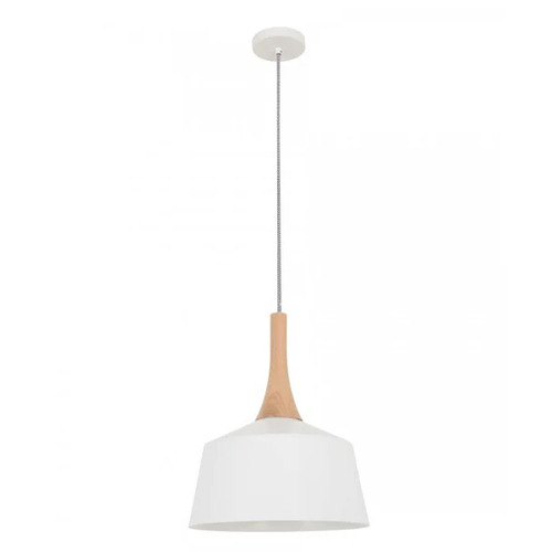 PENDANT ES Wh SML ANGLED DOME OD270mm