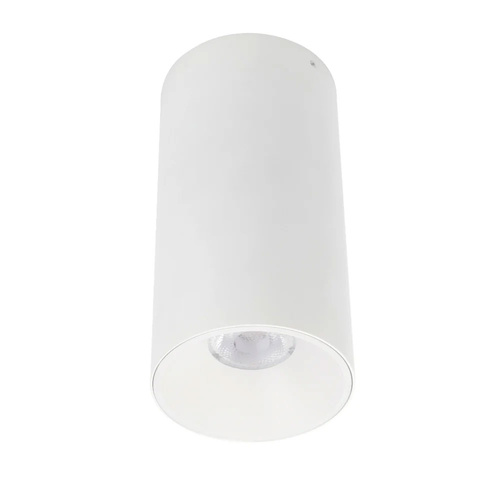 OREN CTC 24wLED TRIAC-DIM 3CCT 2700K-4000K 36LENS CRI>92 IP54 D:90 H:180 2Kva WHITE MATT