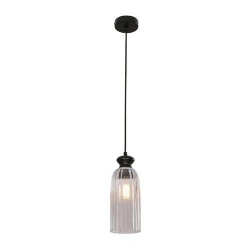 PENDANT ES Clear Glass w/Blk Highlight ELLIPSE OD120mm