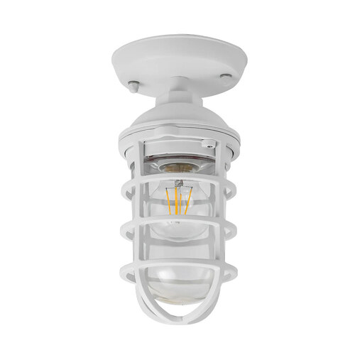 Wall/Ceiling S/M ES Cylinder Matt Wh Alum & Glass IP44 w/cage