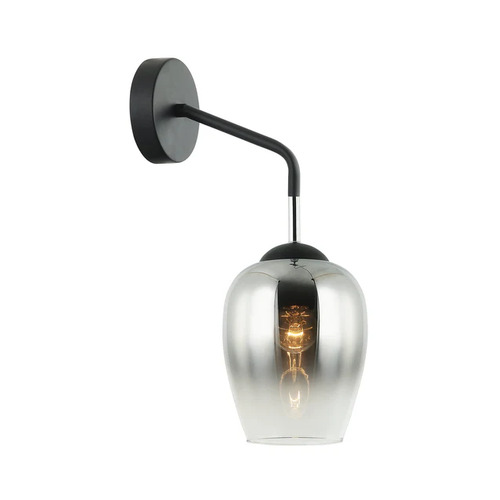 WALL Int S/M ES Chrome Glass w/ Blk Iron Bracket